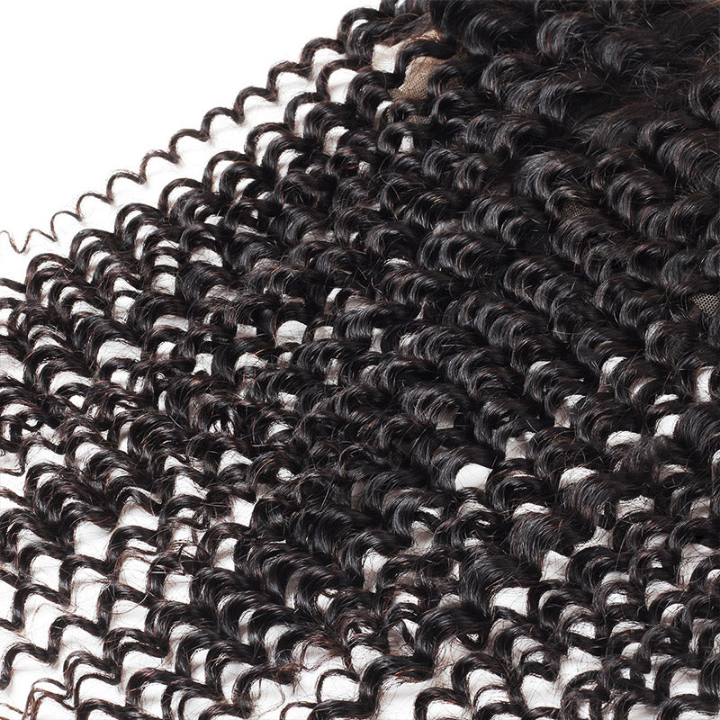 Indian Kinky Curly 3 Bundles with 360 Lace Closure Virgin Human Hair : ALLOVEHAIR